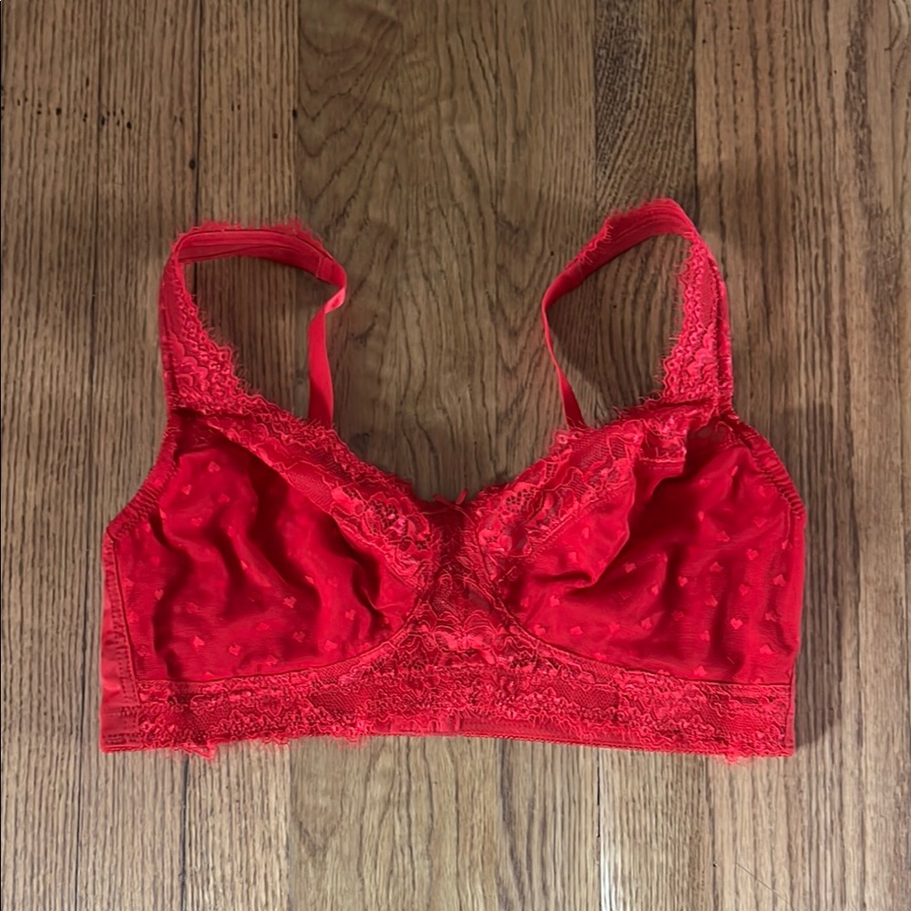 Curve Muse Lace Bralette